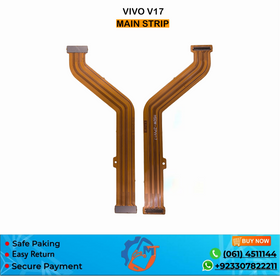 V17 MAIN STRIP VIVO