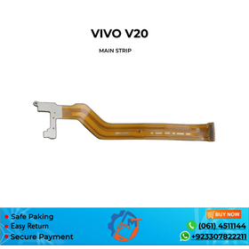 V20 MAIN STRIP VIVO