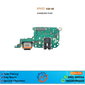 V20 SE CHARGING FLEX VIVO
