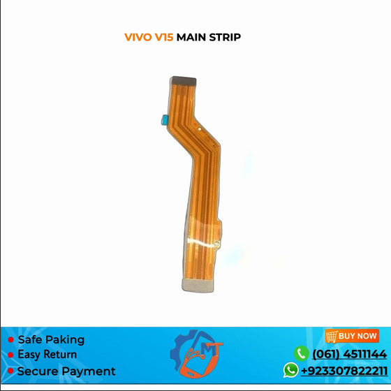 V15 MAIN STRIP VIVO