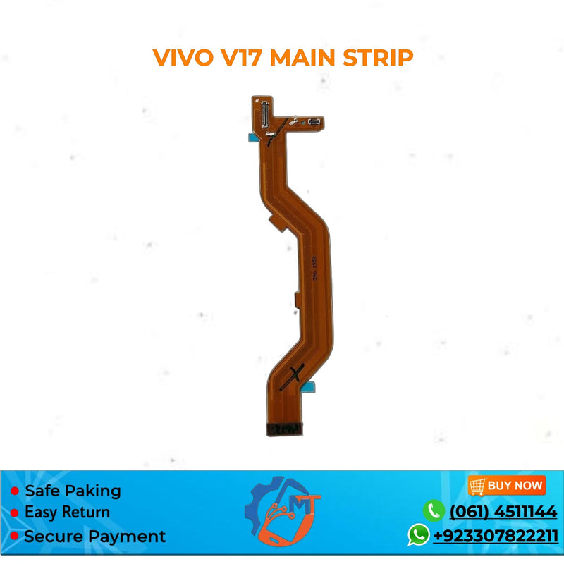 V17 MAIN STRIP VIVO