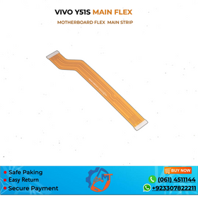 Y51S MAIN STRIP VIVO