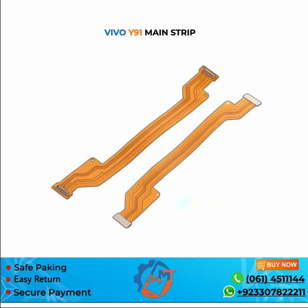 Y91 MAIN STRIP VIVO