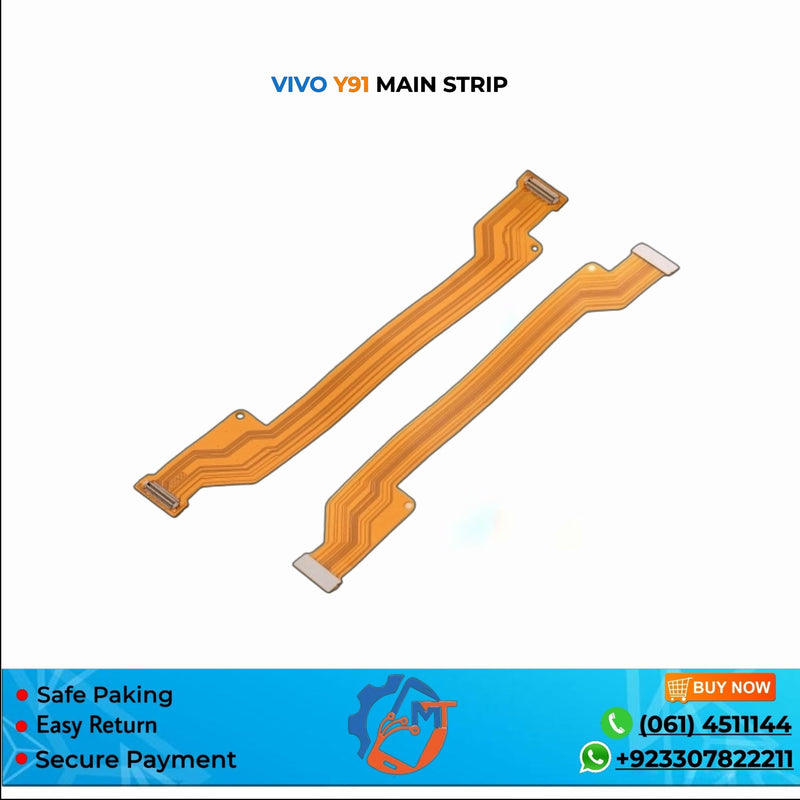 Y91 MAIN STRIP VIVO