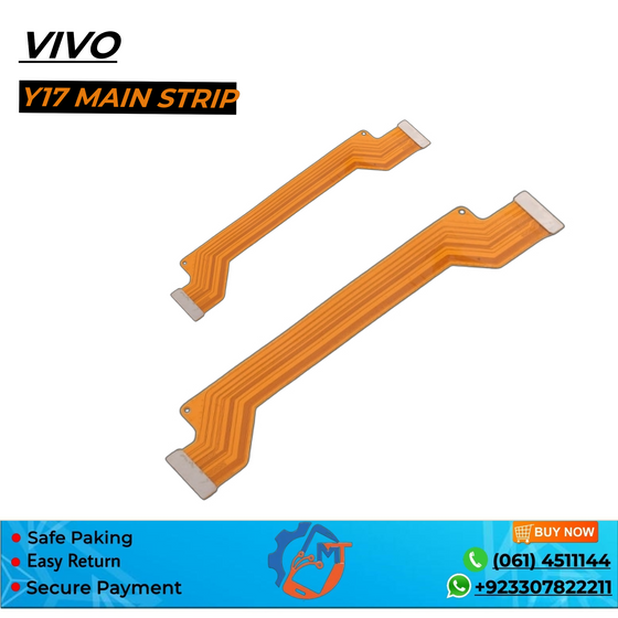 Y17 MAIN STRIP VIVO