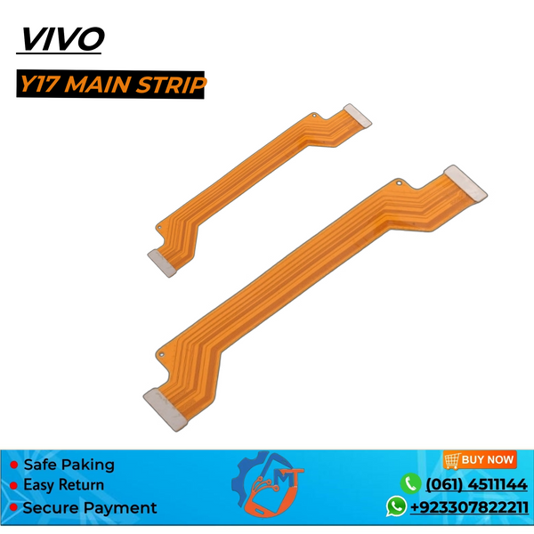 Y17 MAIN STRIP VIVO