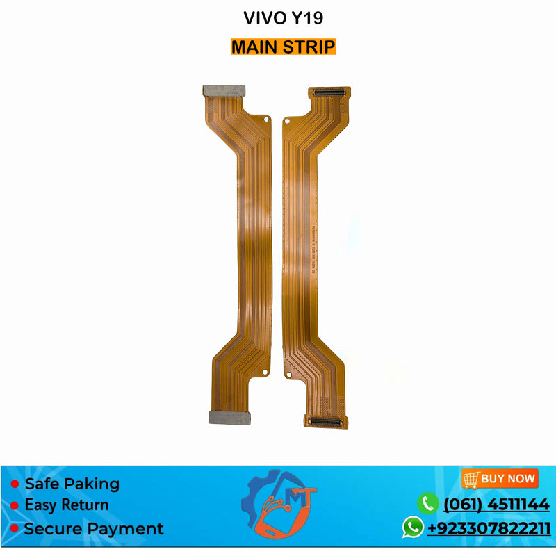 Y19 MAIN STRIP