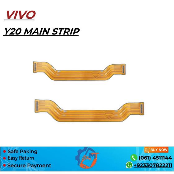 Y20 MAIN STRIP VIVO