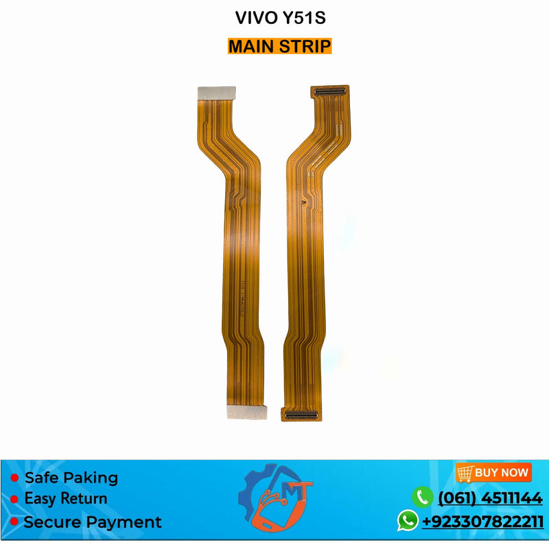 Y51S MAIN STRIP VIVO