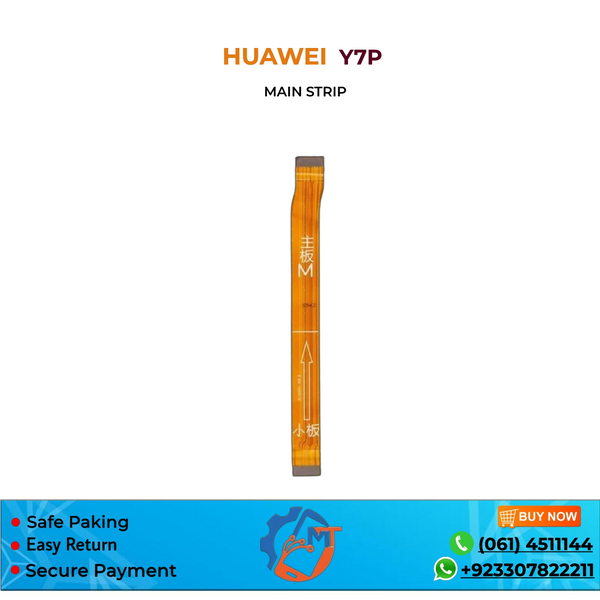 Y7P 2020 MAIN STRIP