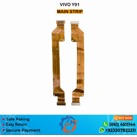 Y91 MAIN STRIP VIVO
