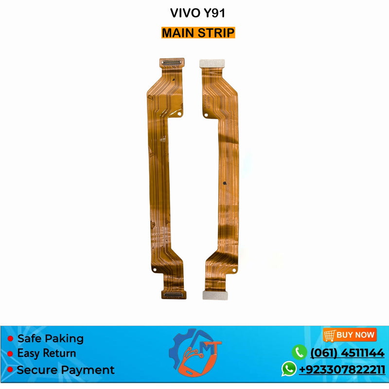 Y91 MAIN STRIP VIVO