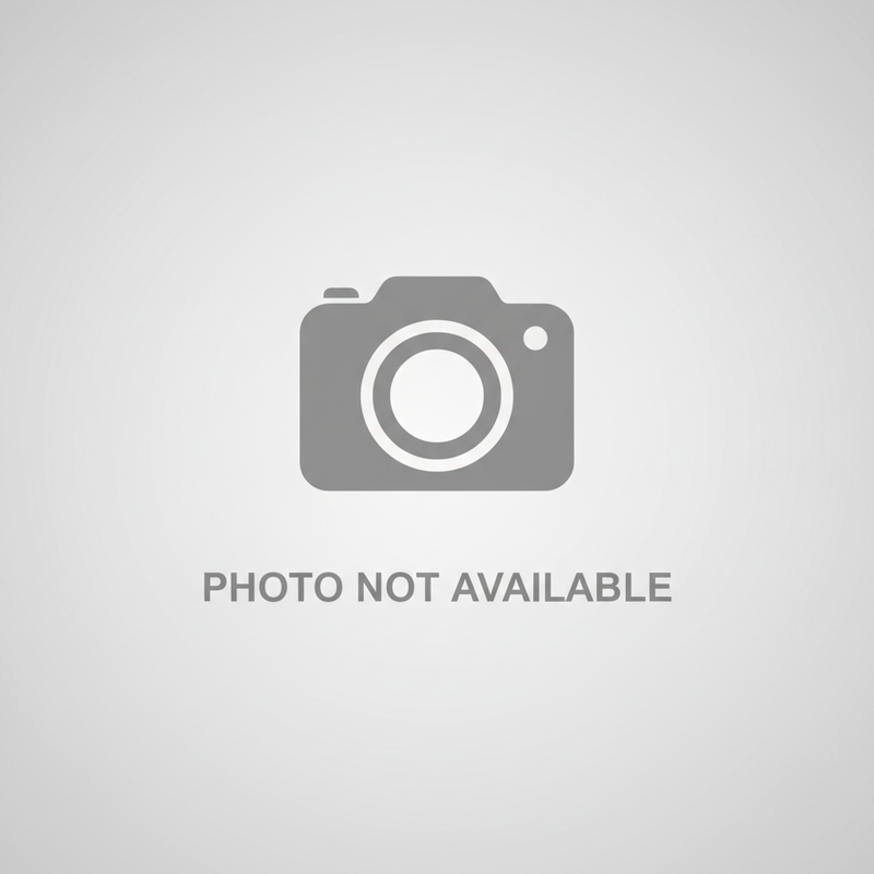 NOTE 10+ PANNEL WITH DOT (AA)